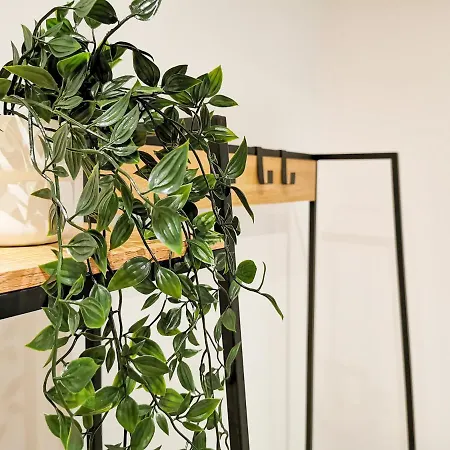 Ma Douce Charente - Superbe T3 Design Et Fonctionnel - Hyper Centre A Апартаменты